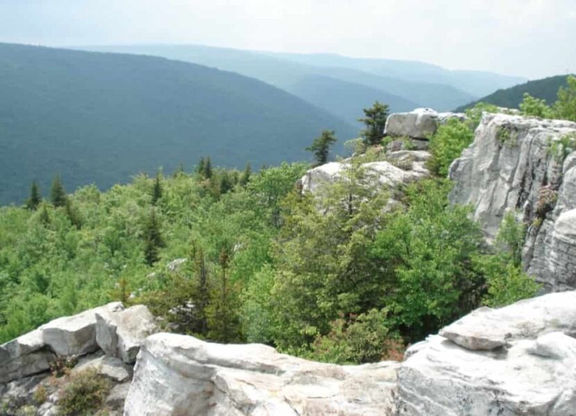 Dolly Sods Wilderness Area